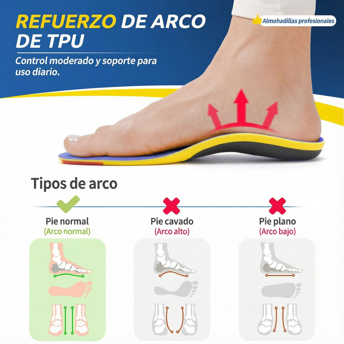 Plantillas Deportivas Poron